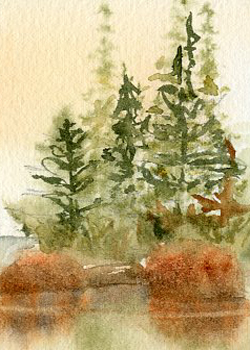 Conifer-licious Rita Carpenter Janesville WI watercolor SOLD